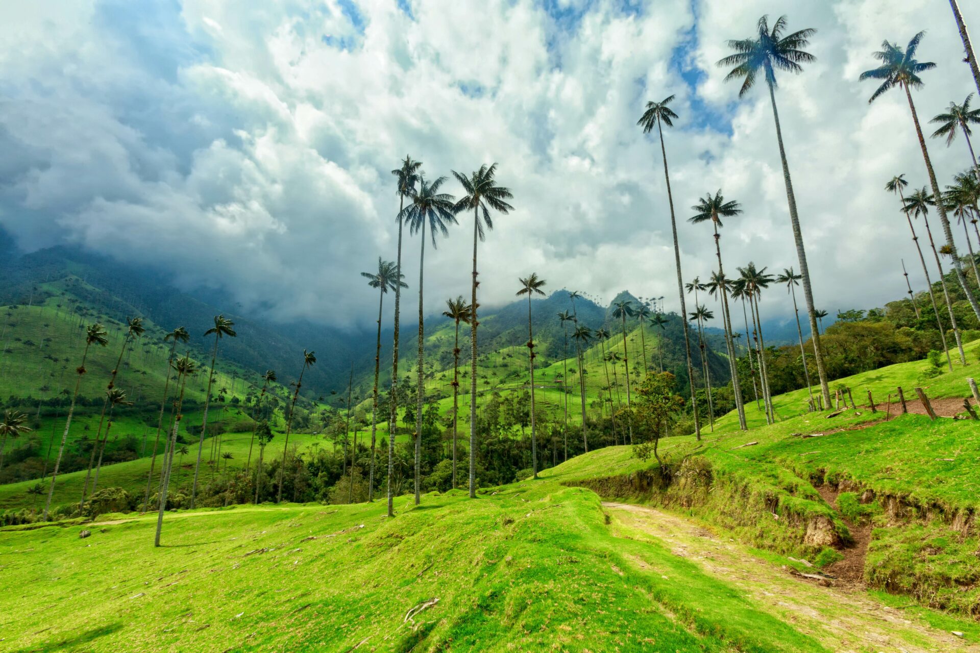 Colombia GettyImages-884474368 RFC